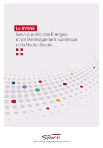 SYANE_Plaquette institutionnelle_WEBpdf