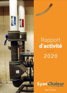 rapport-activité-Syane-2020